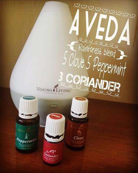 aveda essential oils|smells like aveda.